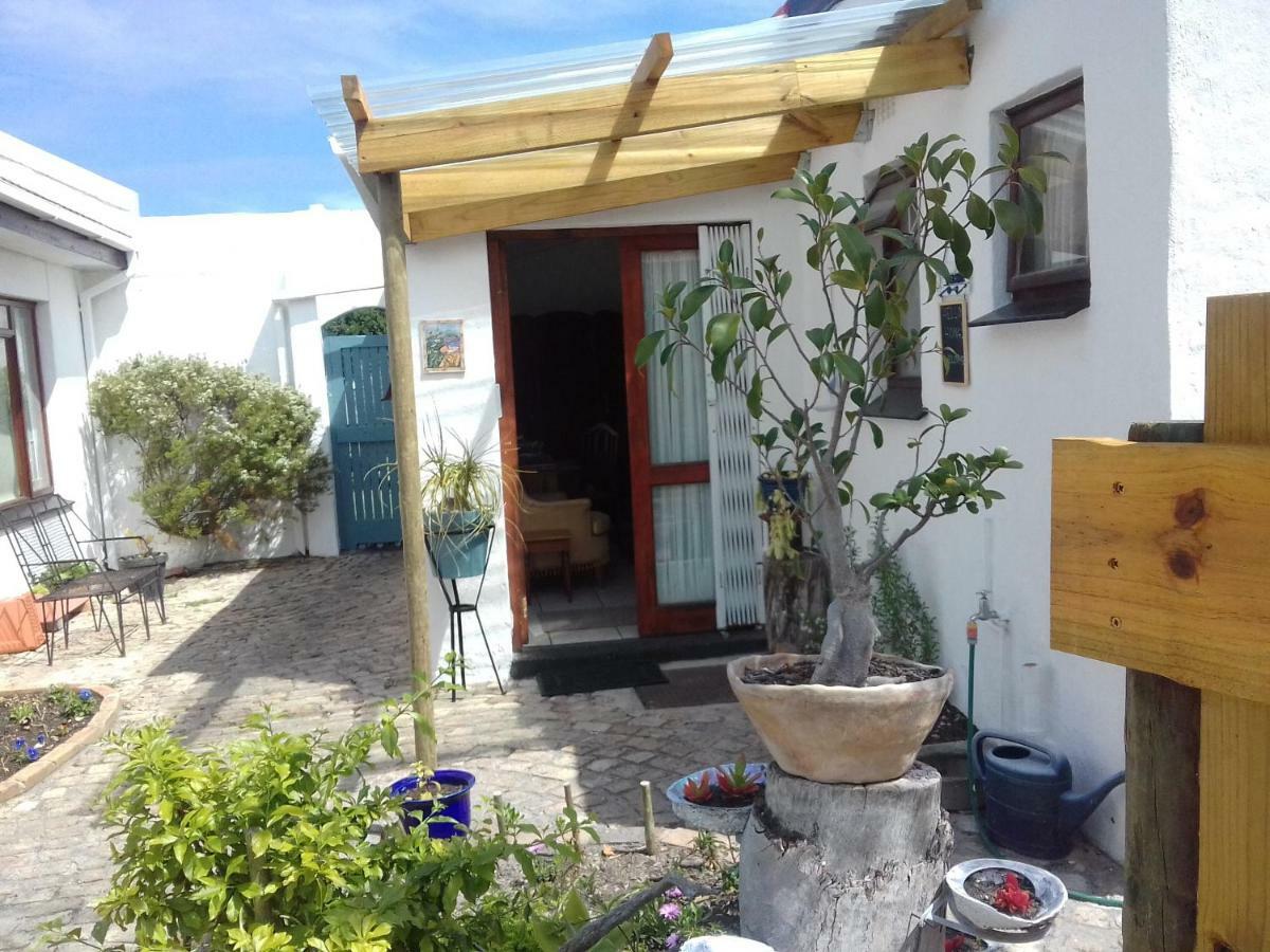 Albatross Apartment Hermanus Ngoại thất bức ảnh